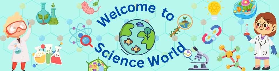 Science Worksheet for Kids