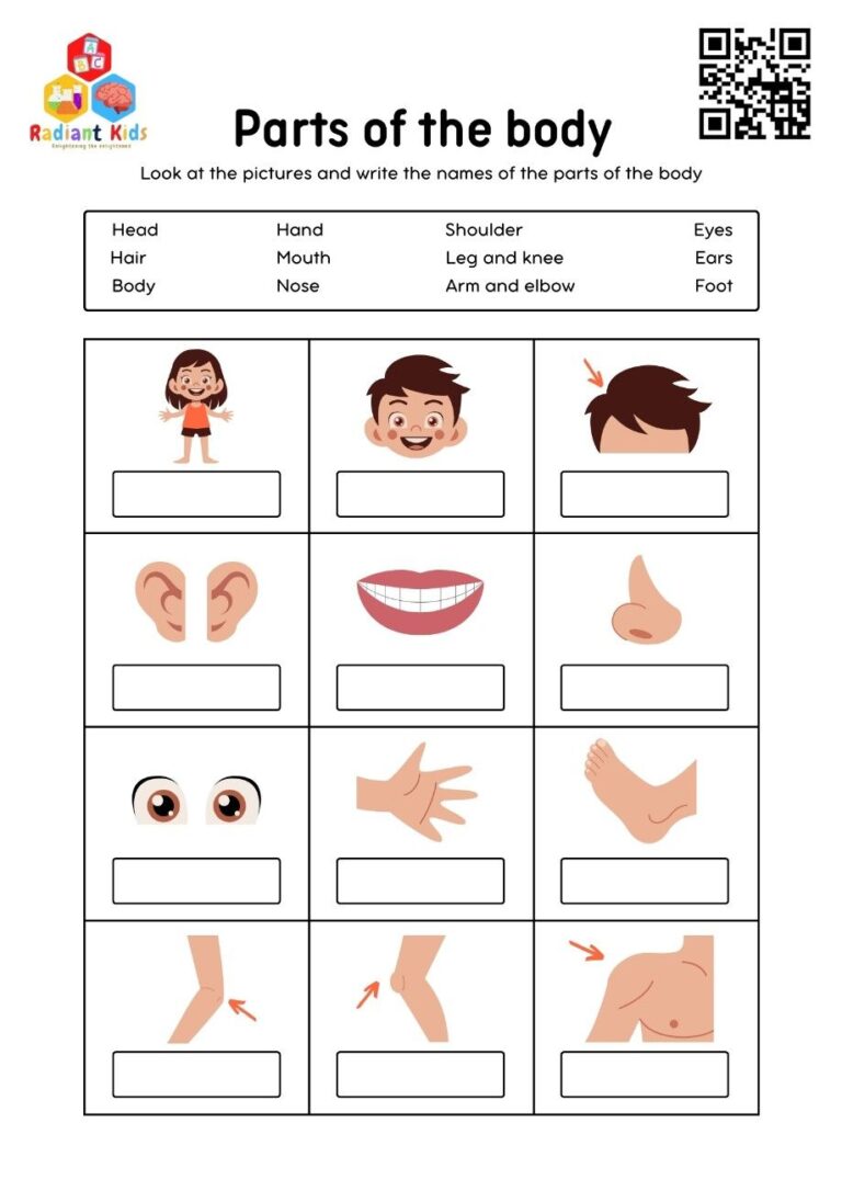 human body science worksheets