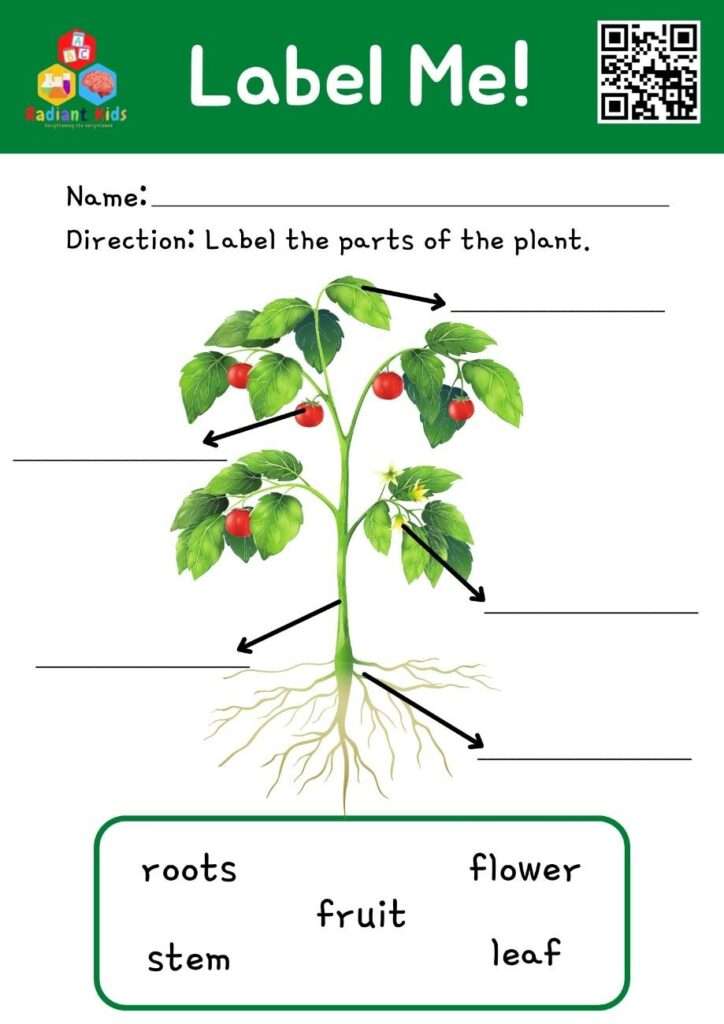 fun science worksheets