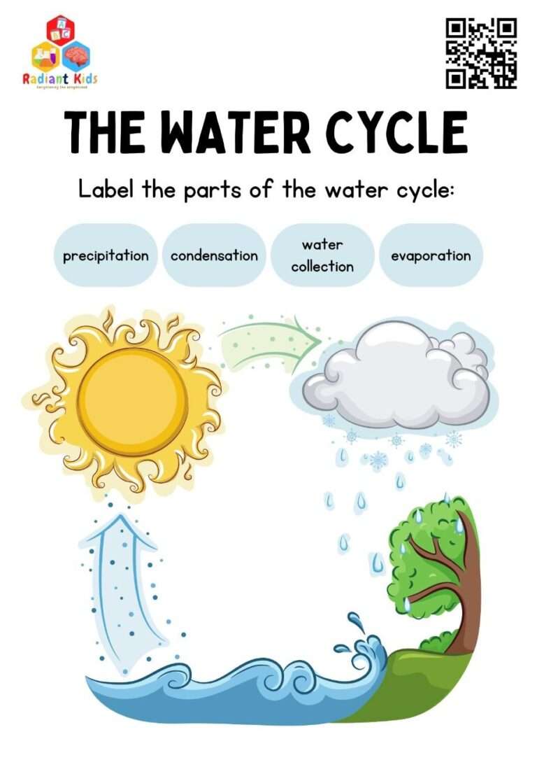 water cycle image for kids