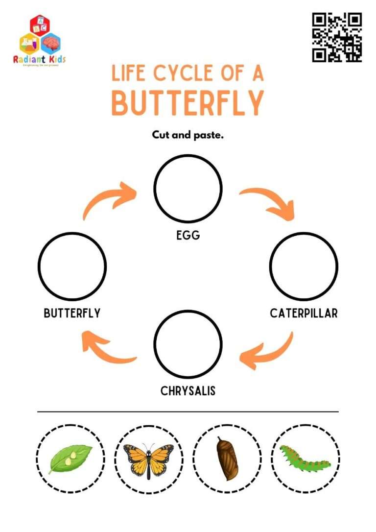 life cycle of a butterfly